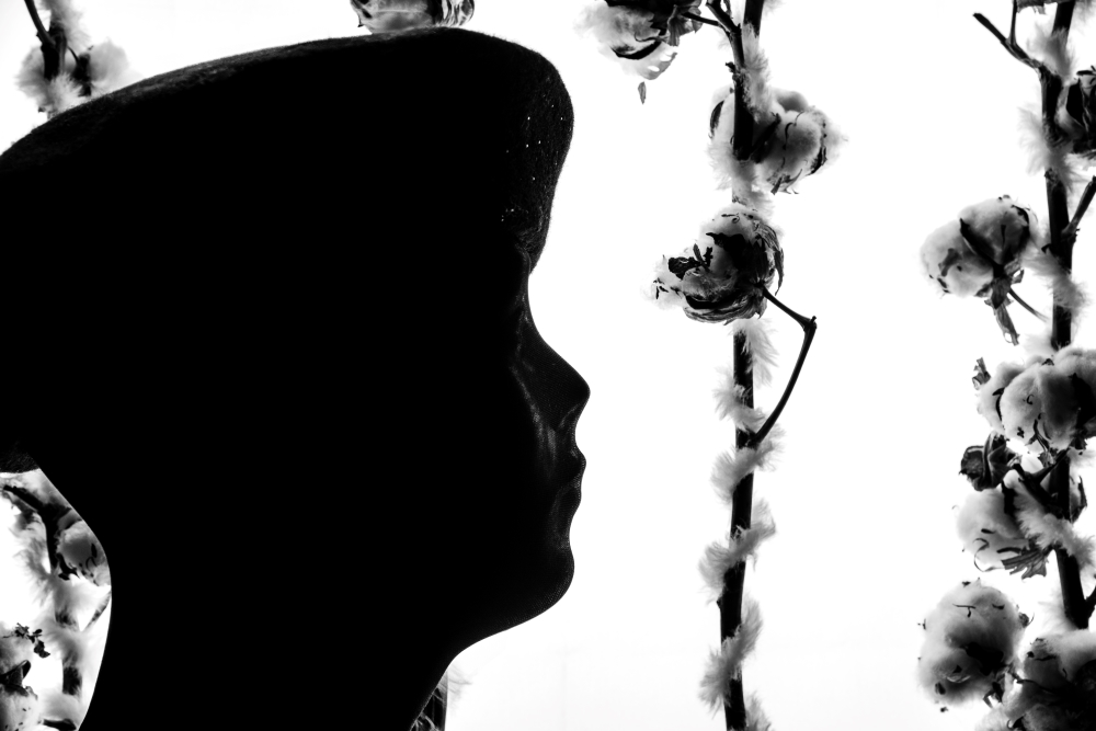 Bild Foto der Woche