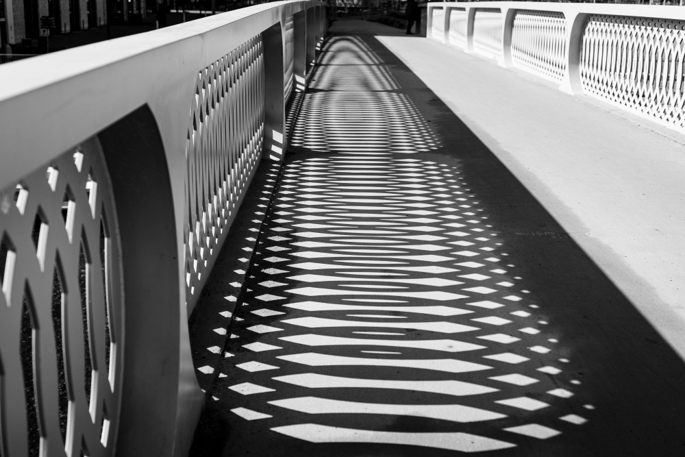 Bild Foto der Woche